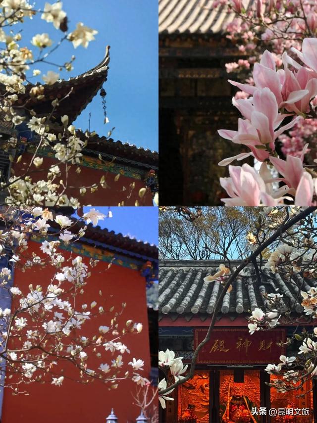 新晋顶流！「阴丹蓝+初雪白」，冬日昆明继续上分，你该换屏保了~