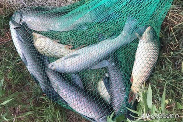 2025年10月30日 第43页