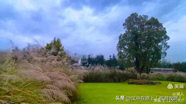 秋雨中的汉中湿地