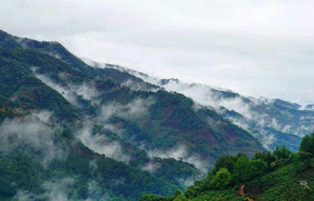 云南大山深处一村落：家家都住别墅，满山都是摇钱树收入不菲
