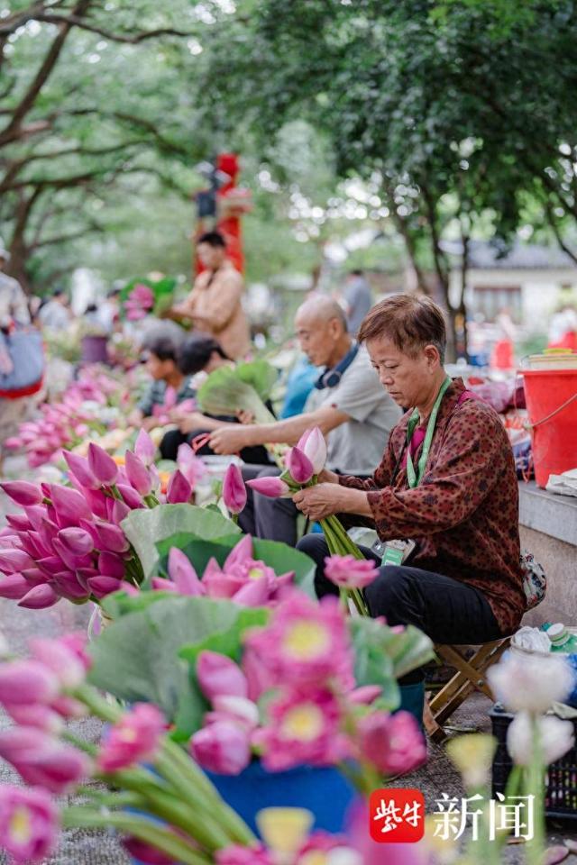奔赴苏州古城寻找“美”，姑苏喊你“早点来”