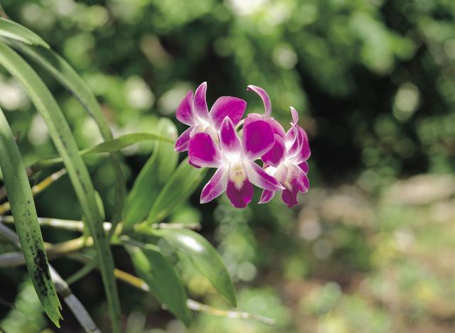 北京GDP破5万亿	，却没看懂最关键的变化