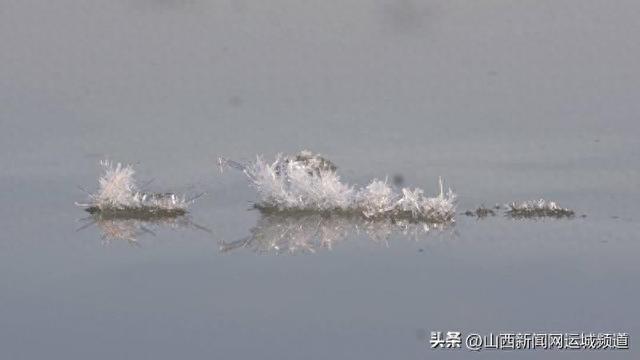 晶莹剔透如诗画 盐池冬日“硝花”美景上线