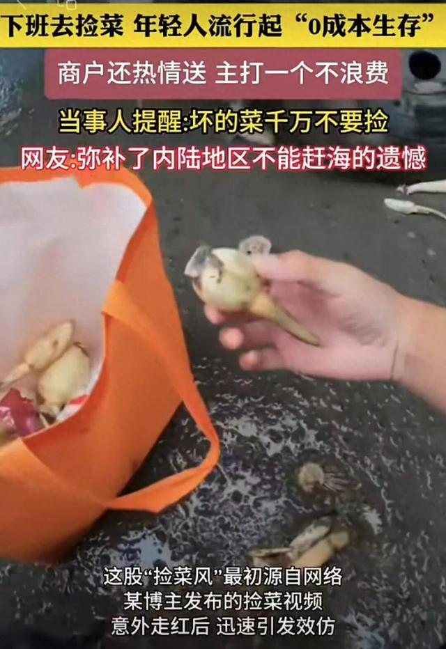 年轻人菜市场捡菜火了？揭开"暴力起号"的新套路与内容生态之思