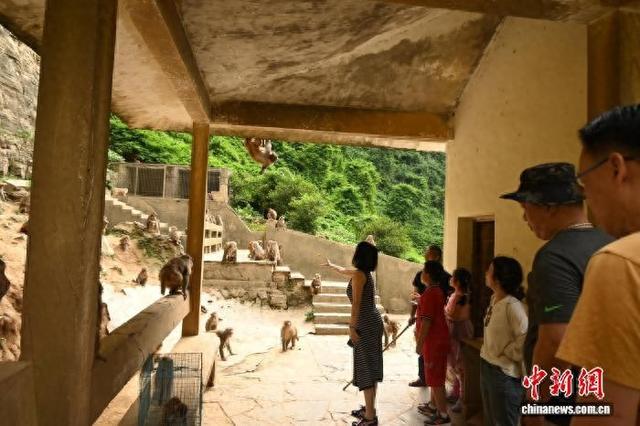东盟等境外游客来渝“温泉游”渐热