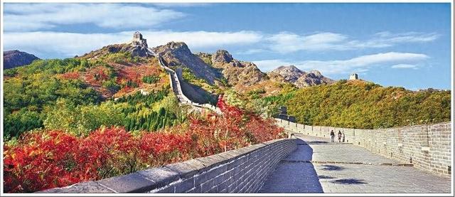 苍龙卧岭染赤金