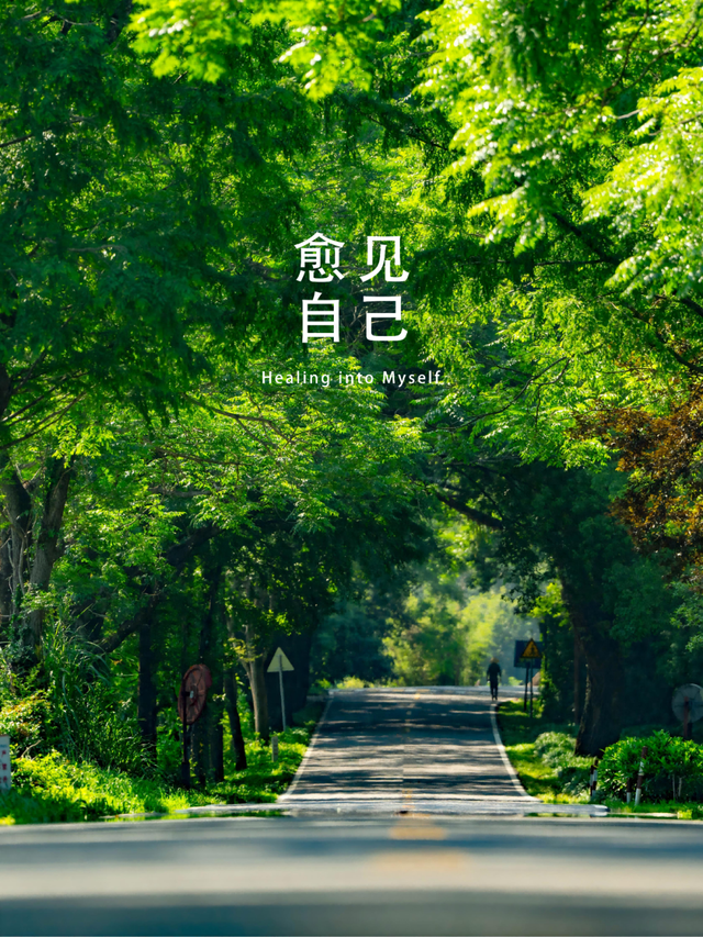 全域好水 亲水纳凉 | 在武夷山，与所有疲惫温柔和解