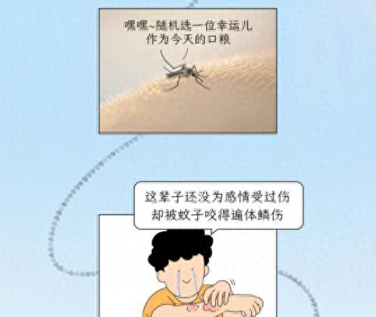 蚊子都能叮出来什么样的包（被蚊子咬后起红点vs鼓大包）