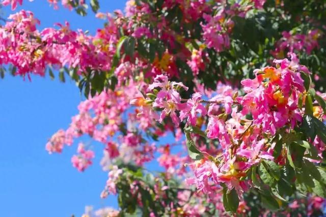 免费！优惠！明天来南宁，过重阳不“重”样！