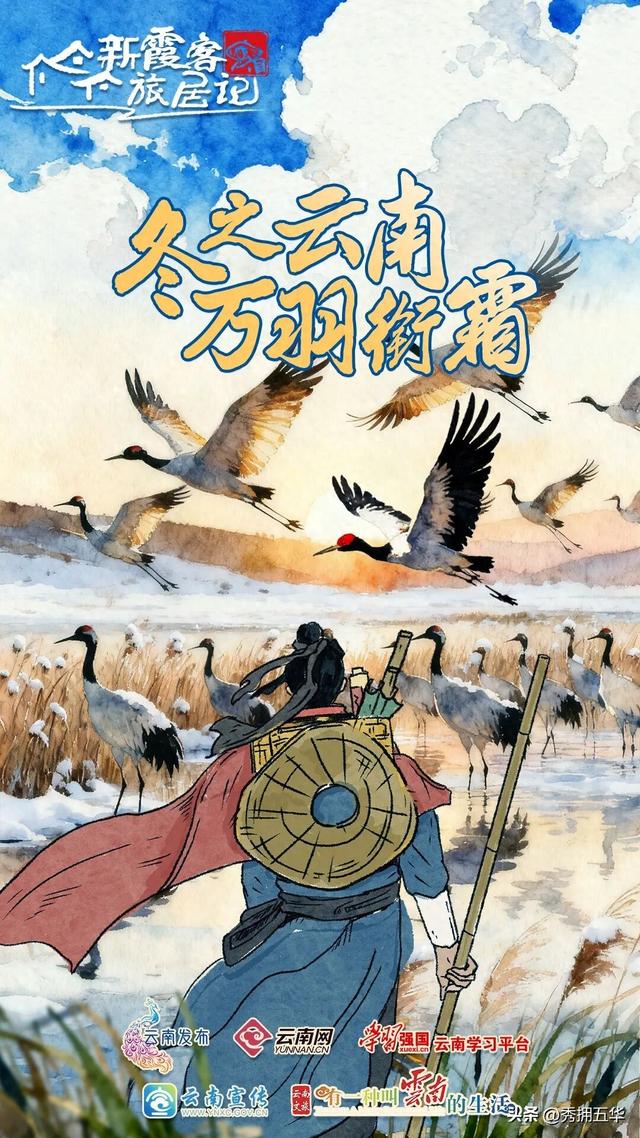 冬之云南 万羽衔霜｜新霞客·旅居记