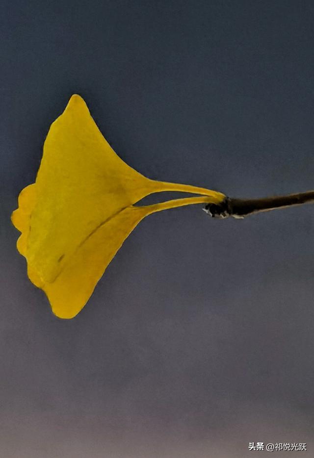 从底层杀出：你必须完成的五次灵魂蜕变