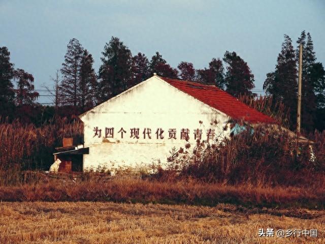 农民社保养老金：中央 143元/月，上海1555元/月，贵州233元/月