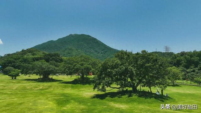 深圳的“阿勒泰”，就藏在盐田！诗意山海触手可及