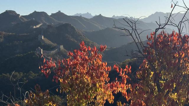 河北滦平：秋染金山岭长城美如画