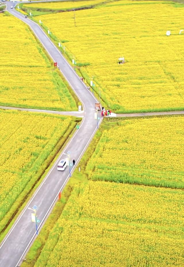 四川春季值得推荐的赏花路线