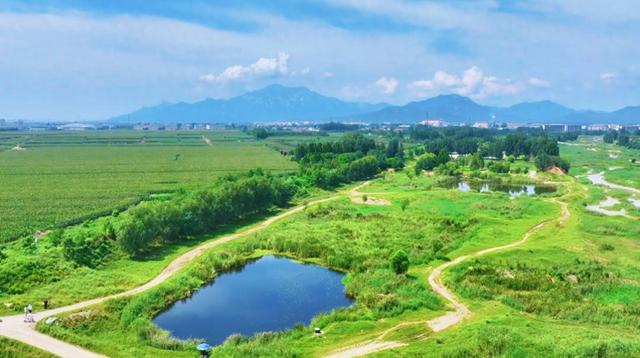 文化中国行丨白露时节探访山口镇：白露染秋意 山口藏温情