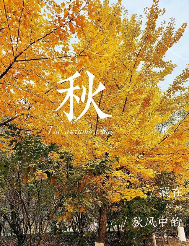 辽宁的秋景：迟到半个月的惊艳