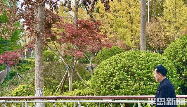 秋染李村河！五彩斑斓绘就城市生态画卷
