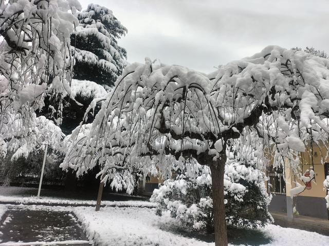 甘山雪落，一夜入冬