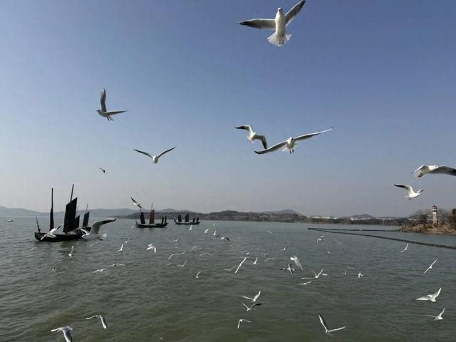 别人卷分数，无锡“卷”水质！太湖这份成绩单太硬核