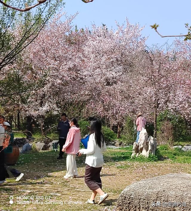 最美最妩媚，人间四月天