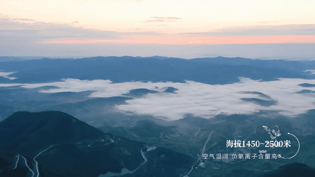固原的夏天在 “凡尔赛” 啥？