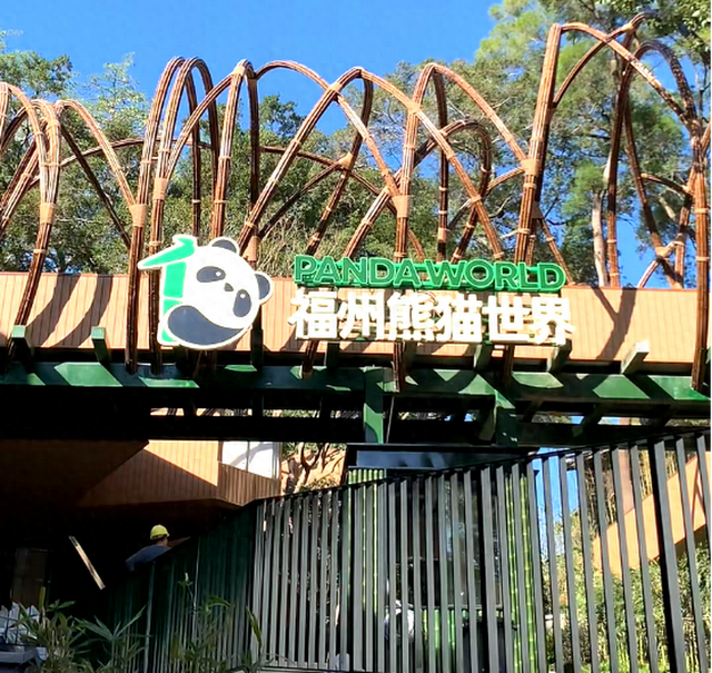 或有5只熊猫入驻！福州熊猫世界回归，预计元旦开放！