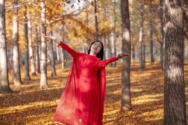 李村镇银杏林成网红打卡地