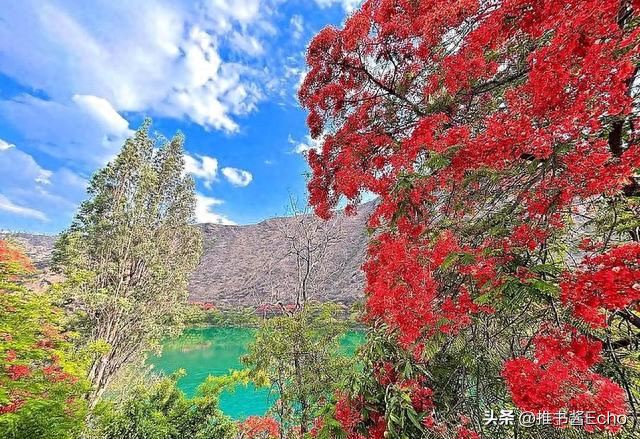 去了攀枝花 5 次，忍不住要说：来攀枝花不逛这几个地方，等于