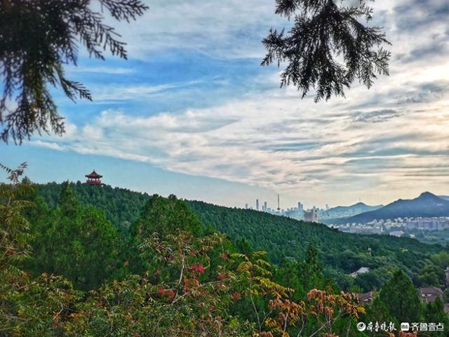 秋韵美景，蓝天白云下的济南英雄山