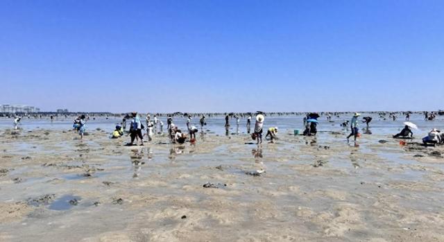 游客在北海赶海被浪卷走，文旅部门：项目多为民营，暂无统一管理，恶劣天气时不建议前往