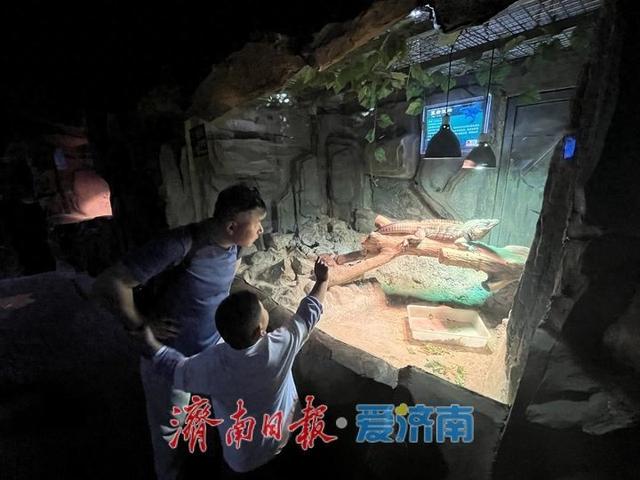 抓住暑假“尾巴” 济南亲子游再升温