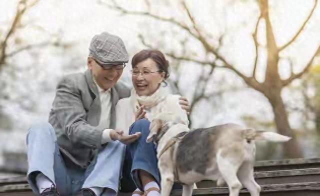 你的温柔是什么歌（读懂55岁女人的心）