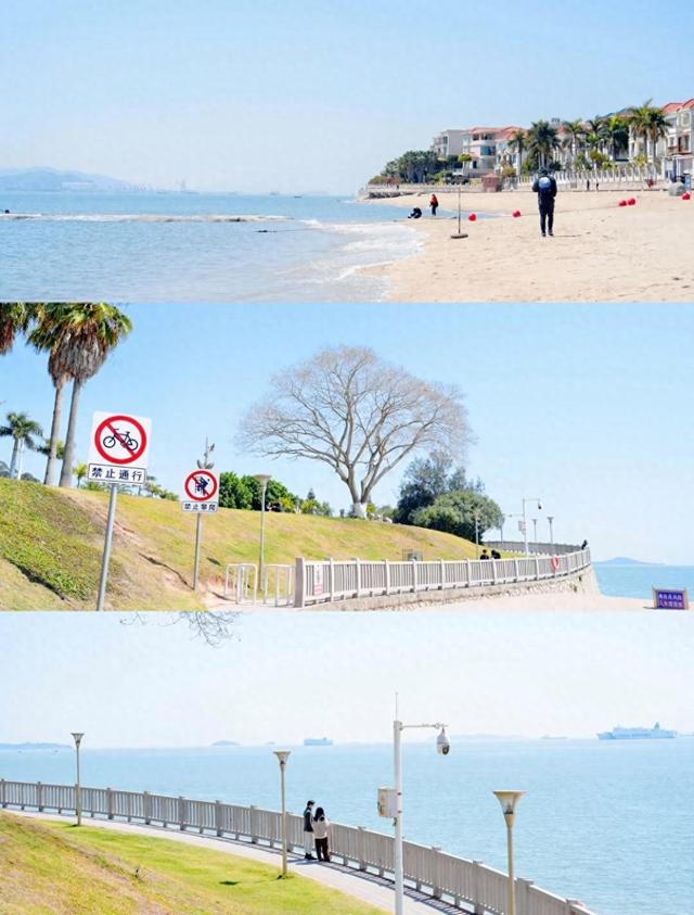 厦门珍珠湾沙滩，人少景美的隐秘海滩，沙滩旁那棵网红树拍照绝美