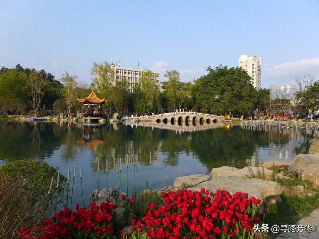 南充行：从枯黄到碧绿的十二小时