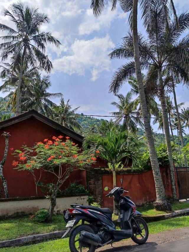 来去如风，骑着摩托穿越印尼爪哇岛乡村