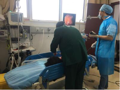 花胶的大便 花胶有通便的作用吗