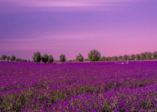 从荒原到新城！可克达拉的70年，藏着几代人的家国深情与未来期许