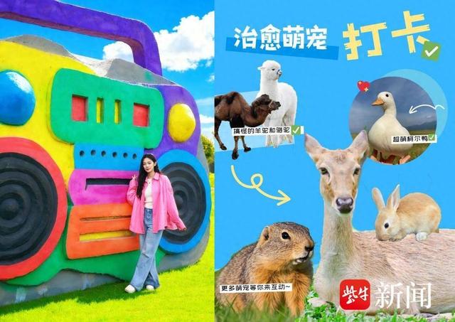 国庆打卡新地标！连云港海州多巴胺石头王国十一开幕