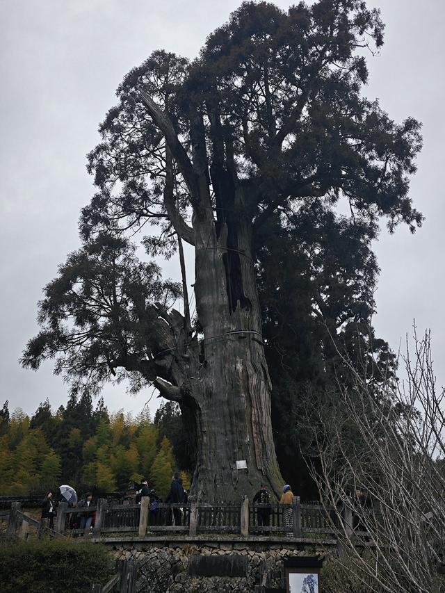 来大漈乡度过最热的时候