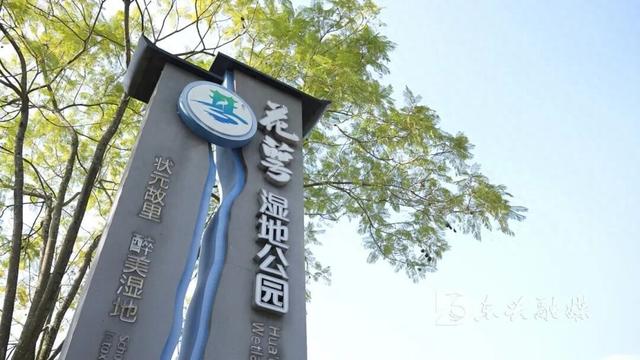 来东兴花萼湿地，感受城市的绿韵时光