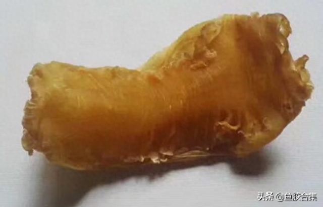 横直胶是什么鱼胶 2026年横直胶是什么鱼的胶