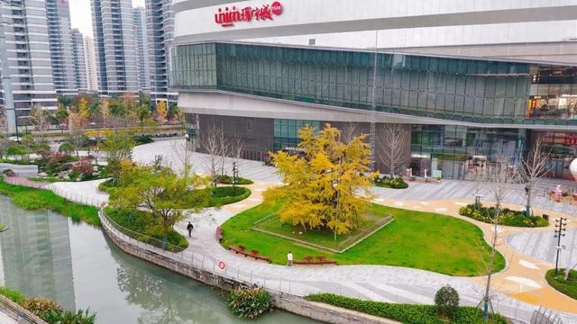 全国生态日之际，普陀这场展览关注古树保护→