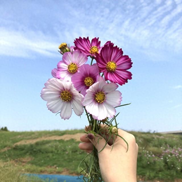 每一天都是幸福