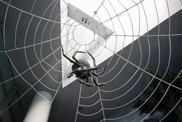 昆明新站seo排名（惊鸿SEO 蜘蛛池让新站快速出圈的 SEO 捷径 指南TGxinruanj）