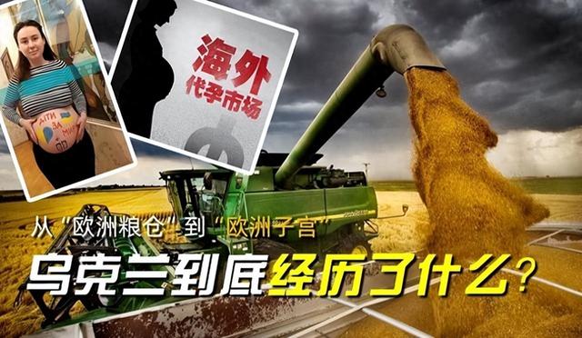 从自废武功到欧洲子宫！战前乌克兰是怎么把自己玩废的？
