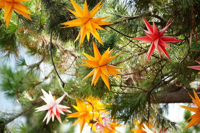 秋色浓度超标!汉中这座小城值得奔赴!