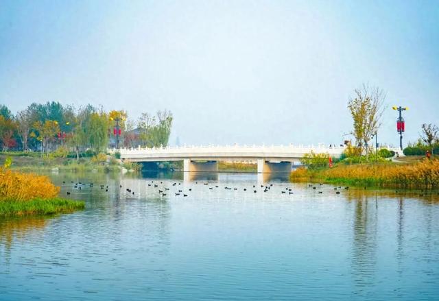 初冬限定！观鸟、彩叶、遛娃一站式，承包全家 “零负担” 快乐