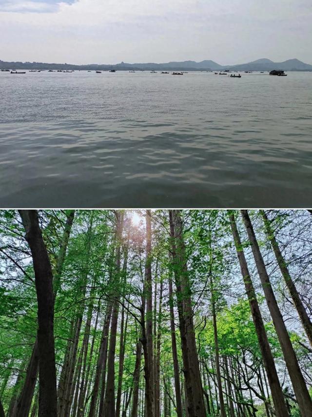 杭州四天旅游攻略