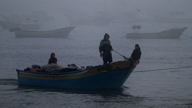 谋生变为送命？加沙232名渔民死于战火，渔业遭毁灭性打击